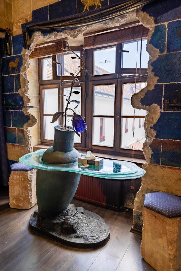Weissmann Residence 쇼프론 외부 사진